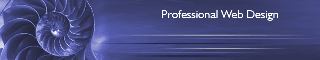 Profession Web Design